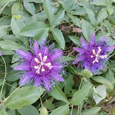 nicholson_55328's profile picture. 