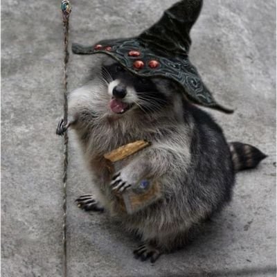 Maskさんのプロフィール画像