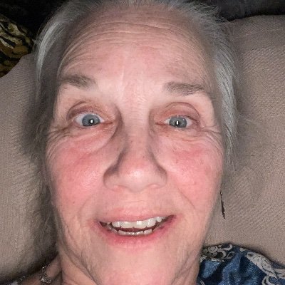 LauretteDucote's profile picture. 