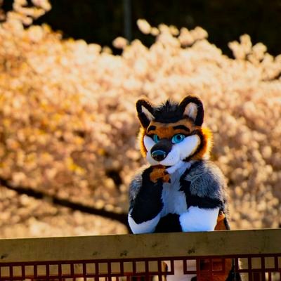 friduwulf's profile picture. 🇨🇦 Wolf | Isaz the Bou by @Wildnorsewolf | Friduwulf the Wolf by @onefurallstudio | 38 | Bi | He/Him | 🔞 | Main Account