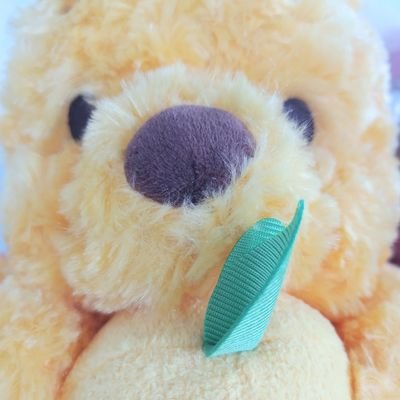羽生結弦選手の公式様をフォローしたくて始めました。北京落ちです🌸X初心者🔰なので失礼があったらすみませんm(__)m羽生選手の⛸演技と言葉が大好きです❄🤍皆さんのポストを読んで、勝手にたくさんいいねをさせて頂いています😊無言フォローお許し下さい🙏
