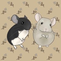 オセロ🐭 (@sakura_aki00) 's Twitter Profile
