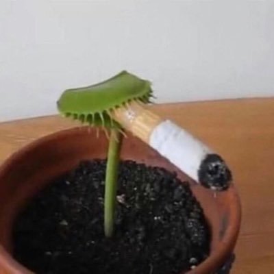 Ammphyy's profile picture. 