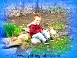 Single mom blogger, health/fitness, recipes, autism, Goober updates, product reviews, giveaways! Love cream soda, walks, and of course chocolate! PR friendly