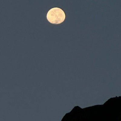 vikhanh8723's profile picture. 