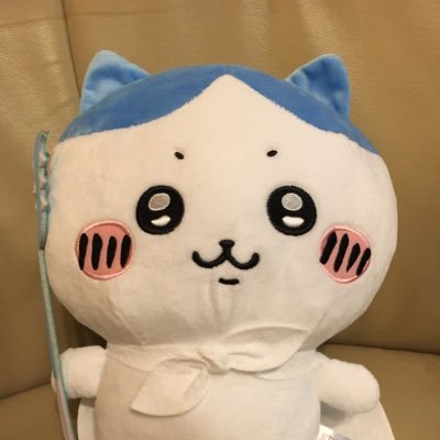 chihoandtoshi's profile picture. 最愛の彼女→@ChihiKusas97371