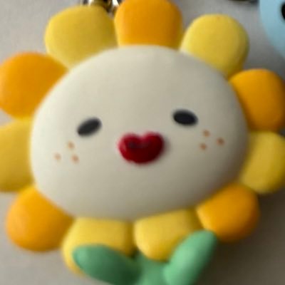 嵐に青春を注ぎ、目黒蓮の九九できないとは思えないほどの人間力に沼落ち、佐藤景瑚が世界一の笑いのツボ。野球も好き。