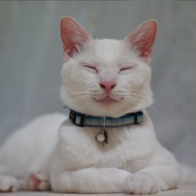 MaynardT35976's profile picture. 👑MŚĞìåŃ Bý BĺòóĐ🥰...
His Grace 🤍✨️
Mmbr of MSG It Wing🤴💫
RAB nal yarri__@saintdrmsginsan💫🌸
Queen of my heart __@honeypreet_insan❤️🫅