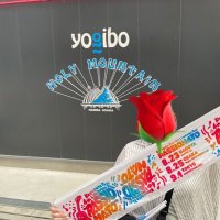 ばらびんばらぼん (@brbinbrbon) Twitter profile photo