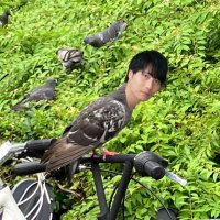 杉林晟人 (@sugi_akito) 's Twitter Profile Photo 杉林晟人 (@sugi_akito) 's Twitter Profile Photo