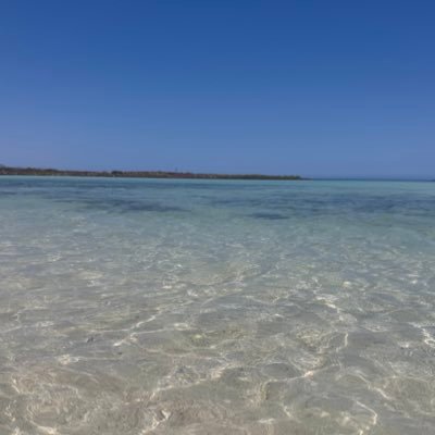 yyvetten's profile picture. ✨🌏✈️🖤