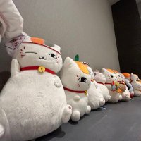 しいたけ (@kmsidayo) 's Twitter Profile