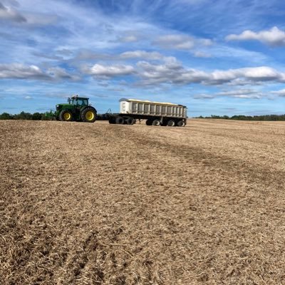 bas_pier's profile picture. crashcropping