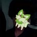 J (@devonuvu) Twitter profile photo J (@devonuvu) Twitter profile photo
