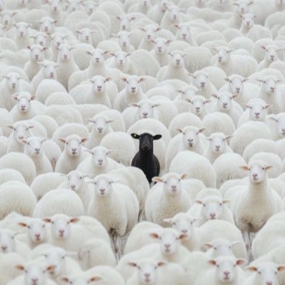 Theheartbrker_'s profile picture. come get this goat dick