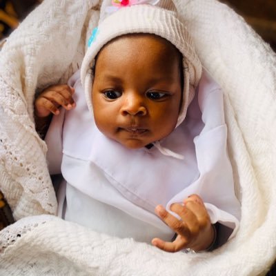 Navigator631662's profile picture. Expert in all fabric Design