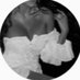 Lama (@lama4l4) Twitter profile photo Lama (@lama4l4) Twitter profile photo