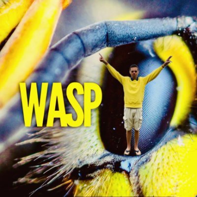 LaurenceWasp's profile picture. 