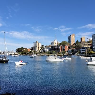 SinglemamaP's profile picture. 🐷シングル
🐷小5男児ママ
🐷個人事業主
🐷元社長夫人 
🐷帰国子女
🐷毎晩飲んで、毎月フラフラ(旅)
🐷バイオリンとボーイスカウト
🐷一人息子・こぷぅが可愛すぎて、ﾈﾀに偏り有り😆💦
🐷無言フォロー、ご容赦ください🙏