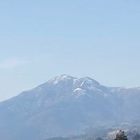 一反木綿（元ぬりかべ） (@suikankisetu) 's Twitter Profile