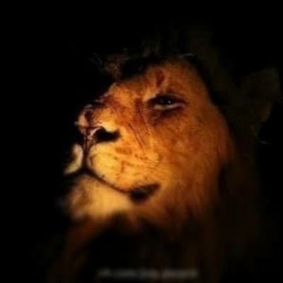 kokoricko27's profile picture. 