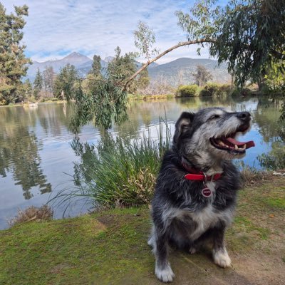 sandrac723's profile picture. Aprendiendo, para no cometer los mismos errores... 🇨🇴