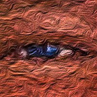 The Town Cryer (@coincilink) 's Twitter Profile Photo