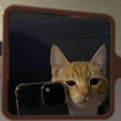 onvoguemagazine's profile picture. 