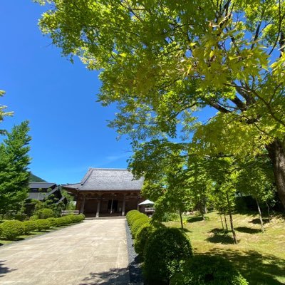 hokouzen's profile picture. 歩き旅と飛行機旅とカメラとわたし🚹✈︎👨‍✈️  歩いた道➡️山手線1周/成田道/川越街道/品川道/鎌倉街道　そして旧東海道を歩いている最中。