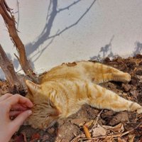 Minel⁵⁵ (@minells25) Twitter profile photo