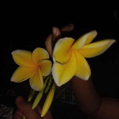 SIRUP_BAYGON's profile picture. 