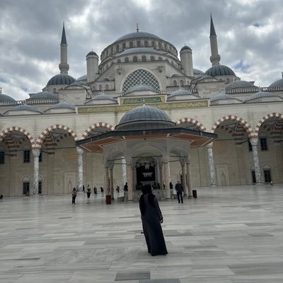 Mi55_Ali's profile picture. Head of Computer Science