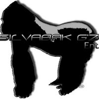 SilvaBak G'z™ Ent.(@SilvaBakGz) 's Twitter Profile Photo
