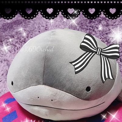 K69Orchid's profile picture. 名前変えました【しおん】
成人済地方住。現地交換除き、お声がけ頂く際 https://t.co/l0pyLhGG3o 必読でお願いします。