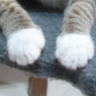 HuKwさんのプロフィール画像