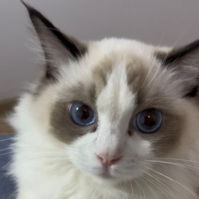li_packy23401's profile picture. 