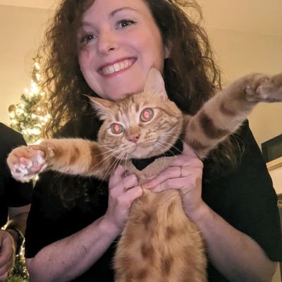 joh_schwa's profile picture. Zinzin des chats 🐈 Introvertie assumée