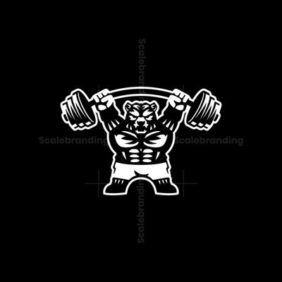 GainsBear95's profile picture. 