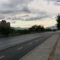 Camilo González (@camilgr98) 's Twitter Profile