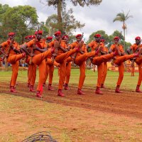 AKENA 🇺🇬 (@fredakena) 's Twitter Profile