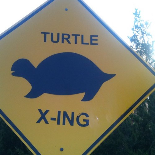 Hydropu's profile picture. 