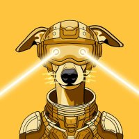 ERC- SIRIUS.ENJ (@frenchyxav6) 's Twitter Profile
