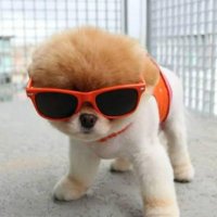 myAAshine (@_myaashine) 's Twitter Profile