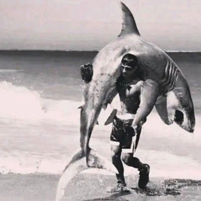ShaheryarKamran's profile picture. 