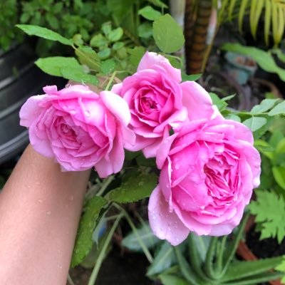 kook_sng's profile picture. 