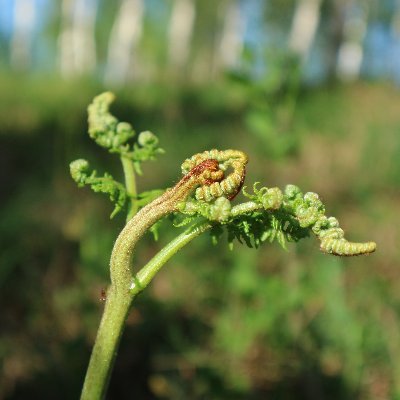 PatchWorkMSCA's profile picture. PatchWORK project @TampereUni has received funding from HORIZON-MSCA-2021-PF-01, grant agreement 101061450.