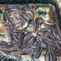 Olivia Roland 🌵 (@_olivia_roland) 's Twitter Profile