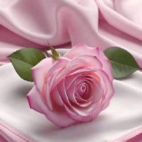 ๐ดุงูุดูุฏูุฉ๐ด (@vfevb9gixkh2cme) 's Twitter Profile Photo ๐ดุงูุดูุฏูุฉ๐ด (@vfevb9gixkh2cme) 's Twitter Profile Photo