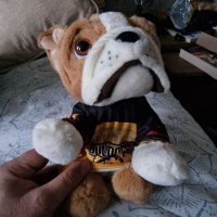 Bradford Bulldogs IHC (@bulldogs_ihc) 's Twitter Profile Photo