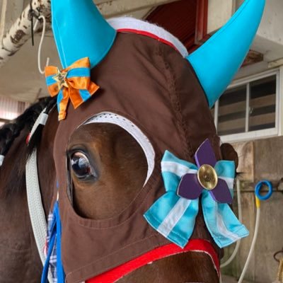 ごく普通の地方競馬厩務員
 実際の競走馬にウマ娘のコスプレしてました(無期限休止中) 
※コスプレは自作ではなく職人さんに作成して頂いております
2021年4月に第1弾のスズカさんから始まり、全９種類を実装 #うまむすめんこ